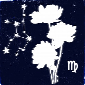 Virgo Daily Horoscope For Today And Tomorrow