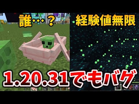 1.20.31で修正されなかったバグ～経験値無限に毒を盛られたスライムなど急にバグがきた10選[マイクラ統合版/1.20.31/Bedrock][Windows/PE/Switch/PS/Xbox]
