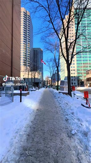 Simini (@simini3520)’s videos with original sound - United States of America 🇺🇲