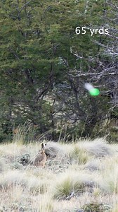 57K views · 768 reactions | Relentless Pursuit on Reels | Facebook