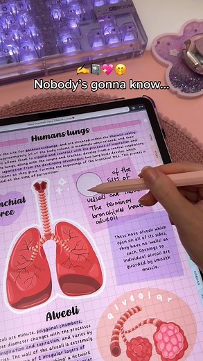 digital planner | goodnotes on Instagram: "iPad level up 😎 toggle on scribble under apple pencil settings ✍️ using noteful app and my digital notebook & fonts in my shop @happydownloads ⁣✨ Samsung users turn on S pen to text or use penly app 💕 ⁣ ✏️ New to digital planning? Try out my free planner⁣⁣⁣⁣⁣⁣⁣⁣⁣ & stickers ⁣⁣⁣ ⁣⁣⁣⁣⁣⁣⁣⁣⁣ ✏️ Find my iPad accessories @happydownloads ⁣⁣⁣⁣⁣⁣⁣⁣⁣ ⁣⁣⁣⁣⁣⁣⁣⁣⁣⁣⁣⁣⁣⁣⁣⁣⁣⁣⁣⁣⁣⁣⁣⁣⁣ ⁣⁣⁣⁣⁣⁣⁣⁣⁣⁣⁣⁣⁣⁣⁣⁣⁣⁣⁣⁣⁣⁣⁣⁣⁣⁣ ⁣⁣⁣⁣⁣⁣⁣⁣⁣⁣⁣⁣⁣⁣⁣⁣⁣⁣⁣⁣⁣⁣⁣⁣⁣ ⁣⁣⁣⁣⁣⁣⁣⁣⁣⁣⁣⁣⁣⁣⁣⁣⁣⁣⁣⁣⁣⁣⁣⁣⁣⁣ 🏷️ #d