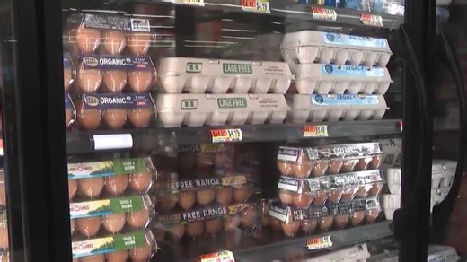 75k in New Hampshire rely on SNAP; Breakdown shows which towns will be most affected by shutdown