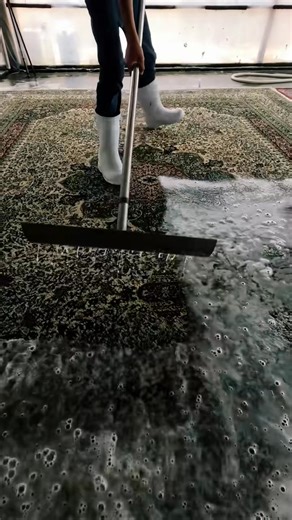 Satisfying carpet cleaning #asmr #satisfying #soclean #carpetcleaning | Clean Show