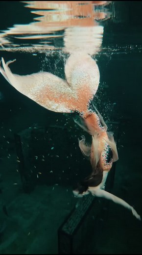 Mermaid Celine sur TikTok