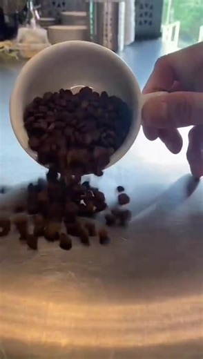 Come and try the best coffee on the planet, here at Area 51! 👽☕️ #bestcoffee #coffeeshop #southport #best #area51