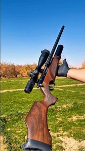 BSA R10 Air Rifle #airguns #airrifleshooting