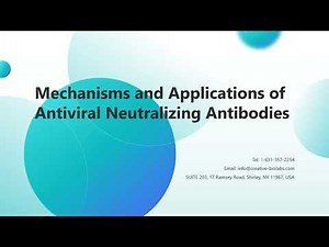 Mechanisms and Applications of Antiviral Neutralizing Antibodies - Creative Biolabs