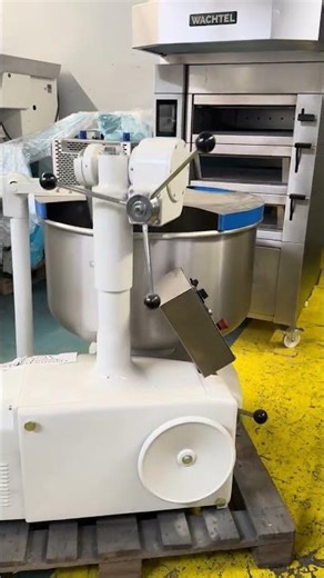 used Paddle Mixer Diosna D200A with 2 bowls for sell