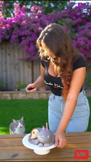 cat prank! part.37 #glume #viral #cat #prank #pisică #funny #brithday #catshorts #cats