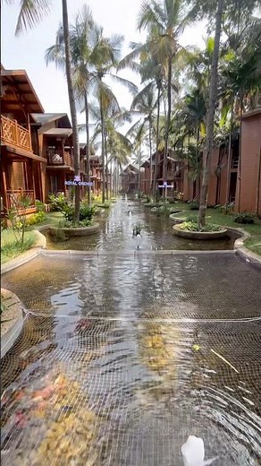 Royal Orchid Resort Bengaluru — Is This the Best Luxury Resort in Bangalore?