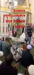 রওজায়ে রসূলﷺমেহরাবে রসূল ﷺমিম্বরে রসূলﷺ #love #madinasharif