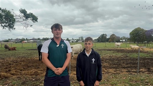 6.1K views · 70 reactions | St Catherine's Catholic College, Singleton on Reels | Facebook