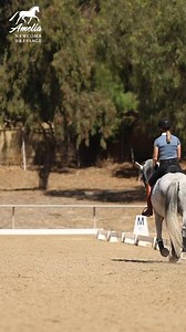 Does your horse strike off on the incorrect canter lead? 🐴 Do they rush into the transition or just trot faster instead of cantering? You might be asking for the canter at the incorrect moment. In order to make a smooth trot to canter, your horse has to push off their outside hind leg so they can lift their other three legs in the air. 🦄 If we ask for the canter with the incorrect timing, this can cause our horses to become confused and out of balance. It's really important that we ask at the 