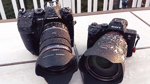 Is the Olympus OM-D E-M1X Doomed to Fail or Crazy Enough to Work?