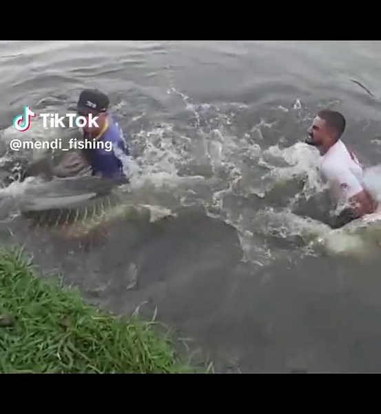 Arapaima: La experiencia de pesca inolvidable
