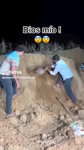 فيديوهات أنشأها النسر الجارح (@jskshikdjdjsksii) باستخدام الصوت الأصلي - النسر الجارح