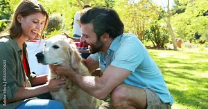 Couple petting a dog in park