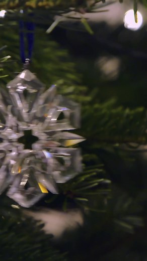 Hello to you on this Wonderful Wednesday! Our special filming last weekend 🎥 means the Chateau is already decked for the festivities!🎄 In keeping with the spirit of Christmas, we thought we’d share this little throwback to when Petale joined our family tree 🐕‍🦺 Have a lovely day! ❤️ Xxx 🎁 If you’ve started your Christmas shopping, our festive collection is now available: https://thechateau.tv/collections/the-chateau-christmas-shop | The Strawbridge Family - Home of Escape to The Chateau