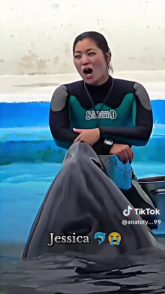 Discover the Amazing World of Orcas and Dolphins