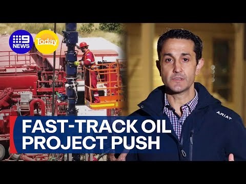 Queensland Premier urges the Government to fast-track oil project approvals | 9 News Australia