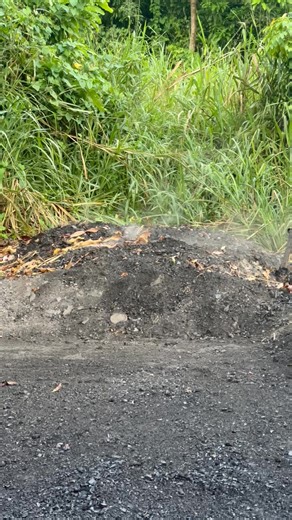 Barbara Lewis on Reels | Facebook