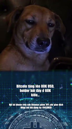 Quẩy lên anh em ơi, Bitcoin 80K USD rồi :))))))) #bitcoin #crypto
