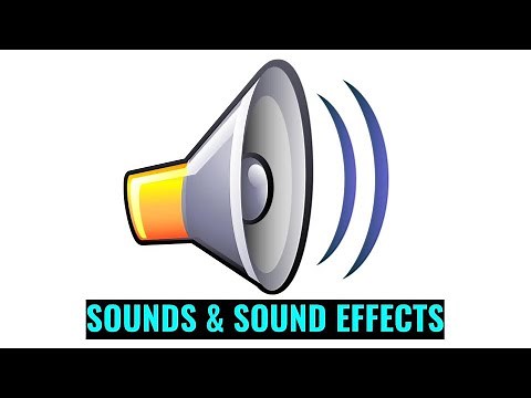 BITCH Sound Effect - Audio Sounds