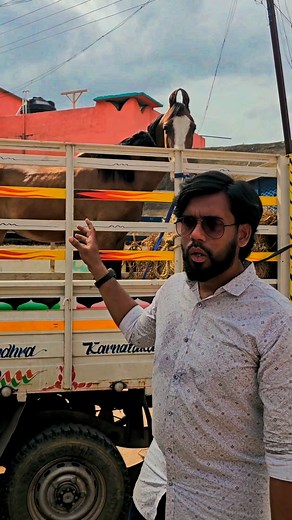 2.1K views · 291 reactions | Our service always available for my followers 珞✨️ . . . . . . . #abhorseman #vellore #ambur #pernambut #tirupattur #gudiyattam #chennai #vaniyambadi #madurai #coimbatore #salem #erode #tirchy #tirupur #tiruvannamalai #bangalore #hydrabad #telangana #karnataka #kerala #andhra #kuppam #pollachi | Ambur Horseman | Facebook