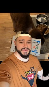 111K views · 2.4K reactions | The Vet Made This Cat Radioactive… ☢️ | IdkSterling | Facebook