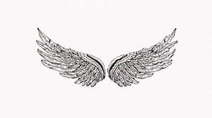 4K Hand draw pencil wings animation in stop motion effect on white background