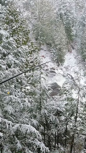 Capt. Kyle McClelland | The Beauty of Michigan❤️ Float Fishing Winter Steelhead (Full episode available now on the Adventure Chasing YouTube channel- Winter Tent... | Instagram
