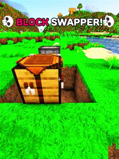 🤡Minecraft, But.. BLOCK SWAPPER!☠️
