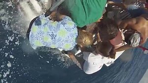 Miss Reef was ready to go! View this special underwater footage of her release! She zipped right off. We dropped her off at Lighthouse Reef in Jupiter. We wish Reef the best of luck <3 Special thanks to our friends at Jupiter Dive Center for donating their boat and time to help us release her into her ocean home. | Loggerhead Marinelife Center