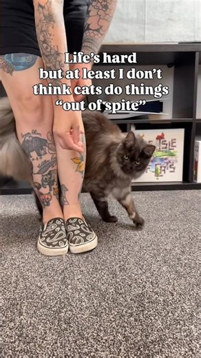 The quickest way to get the ick 🚩😶 #cattraining