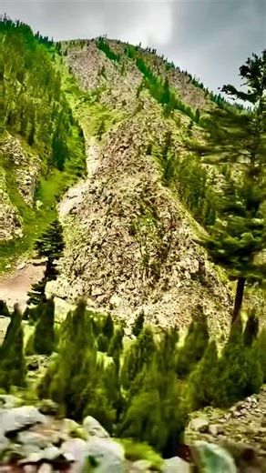 Nature lover (@nature.lover2442)’s videos with original sound - remya.lakshmi