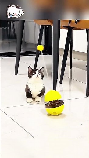 Smiling Cat Plays Like a Baby 😻 | Cutest Thing You'll See Today! #shorts