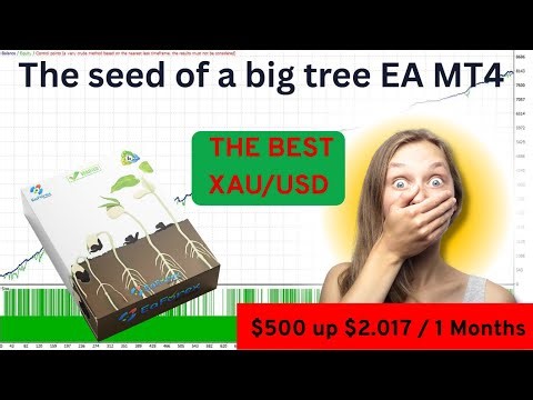 The seed of a big tree EA MT4 Setting + Backtest | Profit: $500 up $2.17 / 1 Months | EA Forex Store