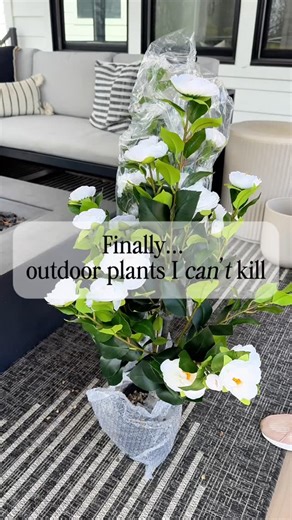 Audrey Ross | At Home With Audrey | Finally… outdoor flowers I can’t kill 🌸 Low-maintenance, beautiful, and perfect for a porch or patio refresh. Say “FLOWER” for 🔗 or you... | Instagram