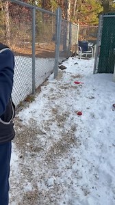 6.3K views · 124 reactions | Wednesday is training day for Sully… but...