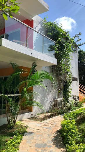 Blue Mango Beach Hotel on TikTok