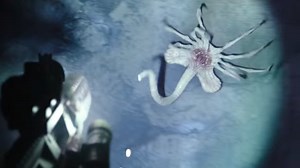 Watch a Facehugger Wickedly Attack in New ALIEN: COVENANT Clip — GeekTyrant