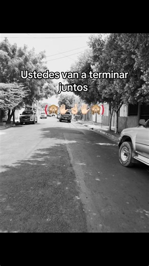 ¿Terminarán Juntos? La Historia de Amor entre Tiburones