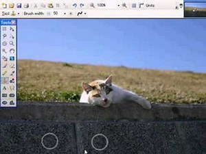 How to Use CloneStamp【Paint.NET】