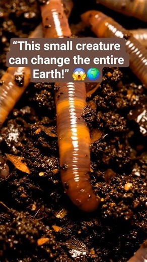 Earthwarm😱🌍#EarthwormFacts #NatureFacts #ScienceShorts #EarthFacts #WildlifeShorts #ViralShorts