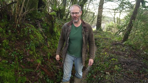 DIY Huge French Drain Installation Guide