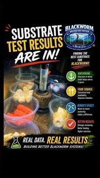 Blackworm | Substrate Test Results are in! See it for yourself￼.