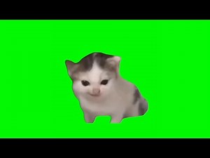 german cat meme