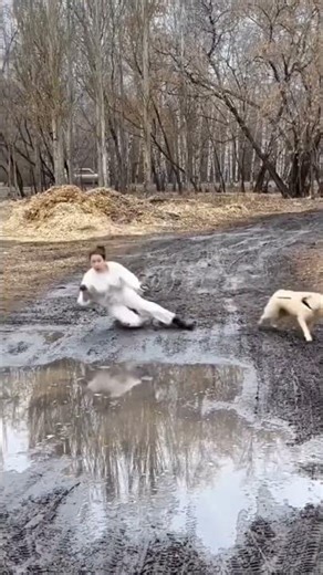 missing funny videos😂 #trending #comedy #fun #funny#viral #shorts #fall #fail#world