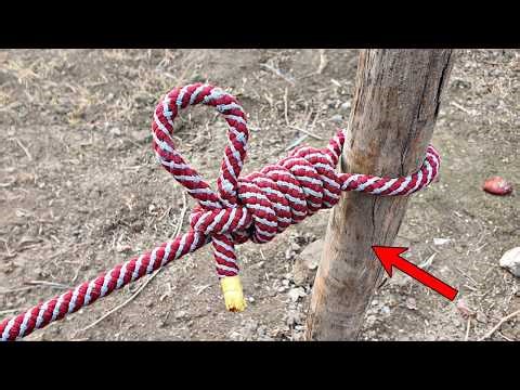 These 3 Knots Work Every Single Time