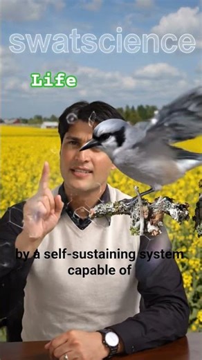 life ‪@swatscience_RU‬ #biology